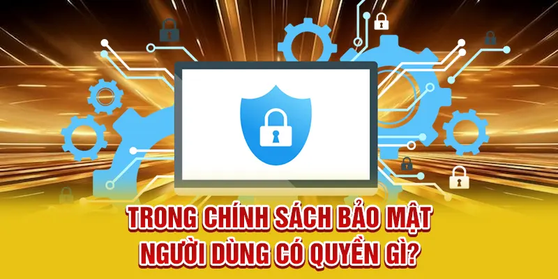 Trong chính sách bảo mật người dùng có quyền gì?